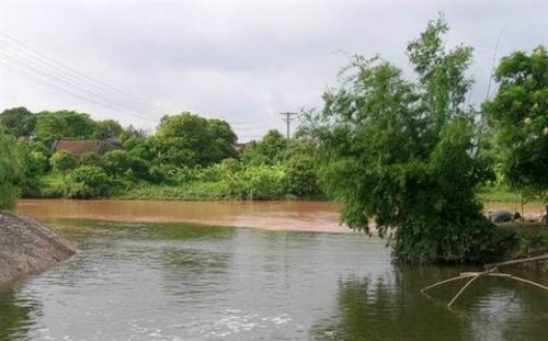 Nước thải ra sông Kim Sơn tại cống Xuân Thụy