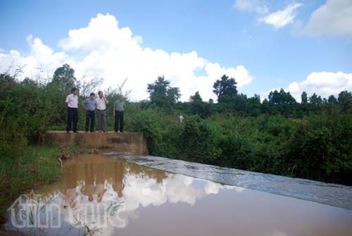 Nhờ có đập tràn thủy lợi mà 80 ha cây trồng của xa Ia Ka, huyện Chư Păh, tỉnh Gia Lai; trong đó có 30 ha lúa và 50 ha cây công nghiệp như cà phê, hồ tiêu, cao su luôn đủ nước tưới.