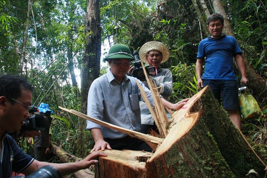 Lào sẽ xác minh số gỗ pơ mu “cho” hải quan Cửa khẩu Nam Giang