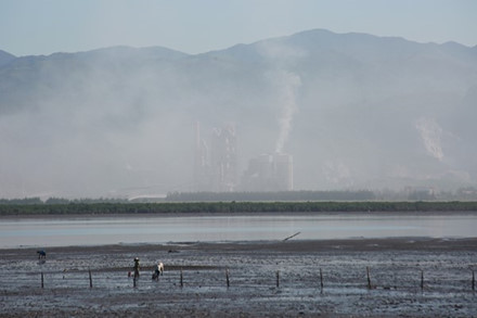 Nhà máy xi măng Hạ Long, cách cảng Cái Lân không xa, lại tiếp tục xả bụi mịt mù vào sáng 24.7.2016
