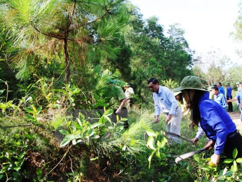 Phát quang bụi rậm tại rừng phòng hộ Chùa Hương Tích (Ảnh: Hoàng Ngà/TTXVN)