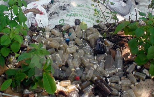 Ảnh minh họa: TTXVN