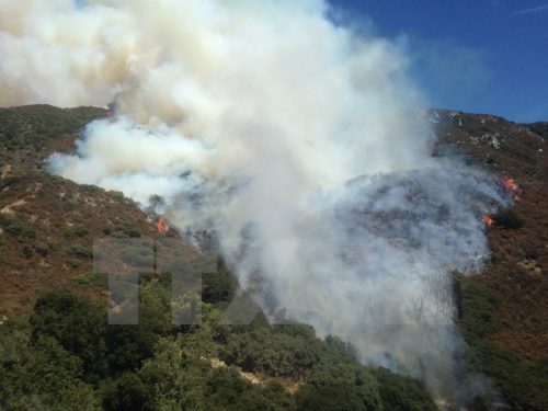 Khói bốc lên trong vụ cháy rừng tại San Bernardino, bang California, ngày 7/8 (Nguồn: EPA/TTXVN)