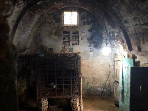 Khu vực cá thể gấu chọ bị nuôi nhốt (Nguồn: TCĐVCA)