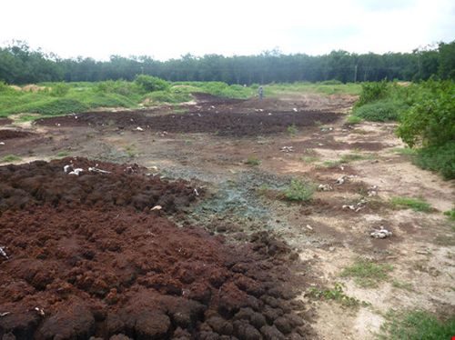 Bùn thải công nghiệp được đổ trộm ở Khu công nghiệp Bình Sơn - Lộc An. (Ảnh: Tiến Dũng)