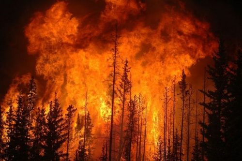 Thảm họa cháy rừng ở Canada. (Nguồn: Getty Images)