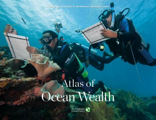 Ảnh: oceanwealth.org