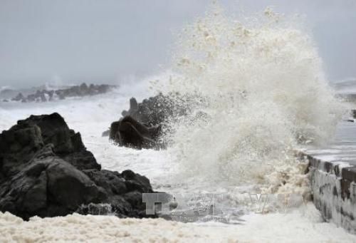 Những cơn sóng lớn tại bờ biển ở Choshi, phía đông Tokyo khi bão Chanthu đổ bộ vào khu vực này. Ảnh: Kyodo/TTXVN