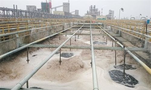 Thủ tướng truy trách nhiệm người đứng đầu để xảy ra ô nhiễm môi trường