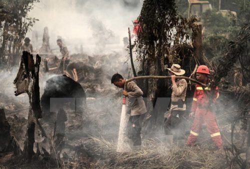 Cảnh sát và nhân viên cứu hỏa Indonesia nỗ lực dập các đám cháy rừng ở Rokan Hulu ngày 28/8. (Nguồn: EPA/TTXVN)