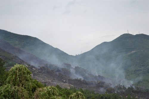 Rừng ở Nam Hải Vân sau khi cháy còn trơ trọi đất đá