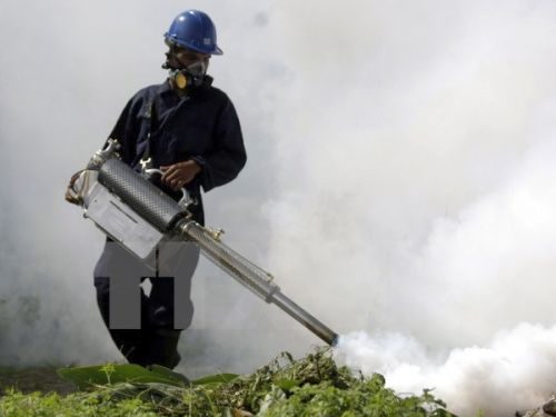 Nhân viên y tế phun thuốc khử trùng nhằm ngăn chặn sự lây lan của virus Zika (Nguồn: EPA/TTXVN)