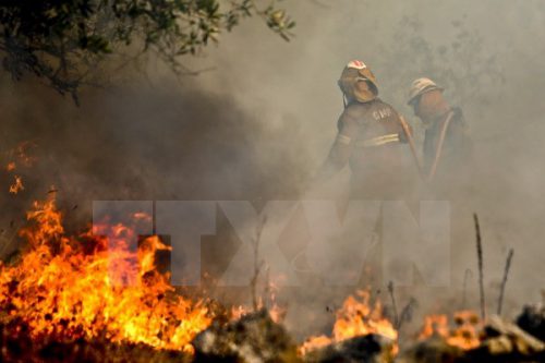 Lực lượng cứu hỏa Bồ Đào Nha nỗ lực khống chế các đám cháy rừng tại khu vực Soure, Coimbr (Nguồn: EPA/TTXVN)