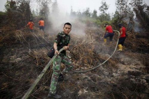Đốt rừng trồng cọ ở Indonesia gây nên tình trạng khói bụi độc hại ở Đông Nam Á hàng năm. (Nguồn: StraitTimes).
