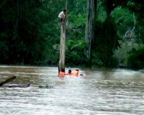 Người dân thoát nạn nhờ leo lên cây khi đập thủy điện vỡ