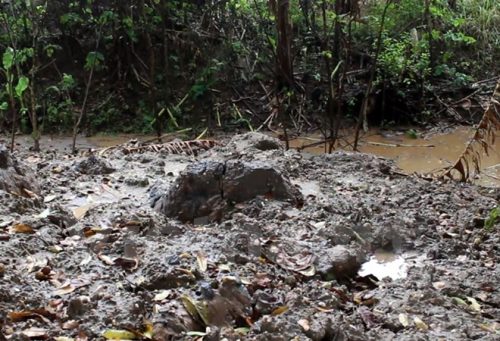 Bãi bùn đổi thải nghi nhiễm độc tại xã Đại Mạch, huyện Đông Anh, thành phố Hà Nội. (Ảnh: MM/Vietnam+)