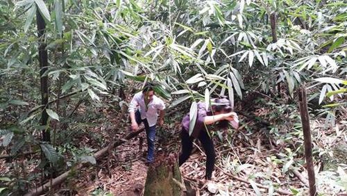 6,2km đường chẻ đôi rừng bảo tồn thiên nhiên Đồng Sơn-Kỳ Thượng.