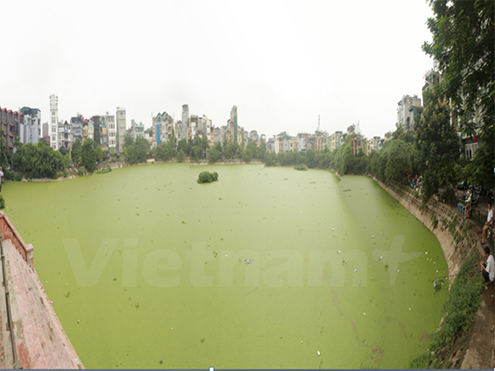 Ô nhiễm tại hồ Văn Chương được ghi nhận trong năm 2015. (Ảnh: CTV/Vietnam+)