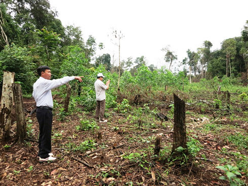 Ông Trương Thanh Tùng – Phó chủ tịch UBND tỉnh Đắc Nông thị sát tình hình phá rừng và lấn chiếm đất lâm nghiệp ở địa phương.