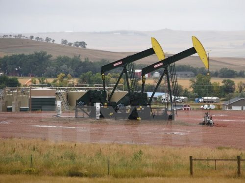Máy bơm dầu tại cơ sở khai thác dầu Bakken Shale gần Williston, Bắc Dakota, Mỹ ngày 6/9 (Nguồn: AFP/TTXVN)