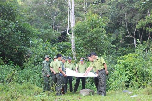 Cán bộ kiểm lâm xác định ranh giới giữa các khu rừng 