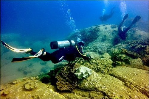 San hô ở khu bảo tồn Hòn Cau có nguy cơ bị đe dọa từ việc đổ thải nạo vét luồng hàng hải (Ảnh: Huỳnh Quang Huy)