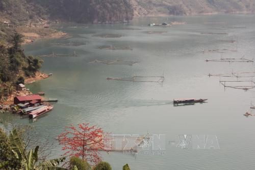  Tỉnh Sơn La đã thông qua Đề án Khai thác tiềm năng vùng lòng hồ các thủy điện trên địa bàn tỉnh Sơn La giai đoạn 2016 - 2020 (Ảnh: Quang Duy/TTXVN)