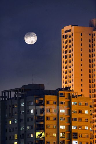 Hình ảnh siêu mặt trăng to khác thường trên bầu trời của những toàn nhà chung cư tại Hà Nội. (Ảnh: Minh Đức/TTXVN)