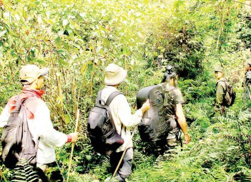 Ban quản lý khu bảo tồn và các nhà khoa học Việt Nam đi khảo sát và tuần tra - See more at: http://www.sggp.org.vn/phongsuanh/2016/11/440609/#sthash.lkH2UCIH.dpuf