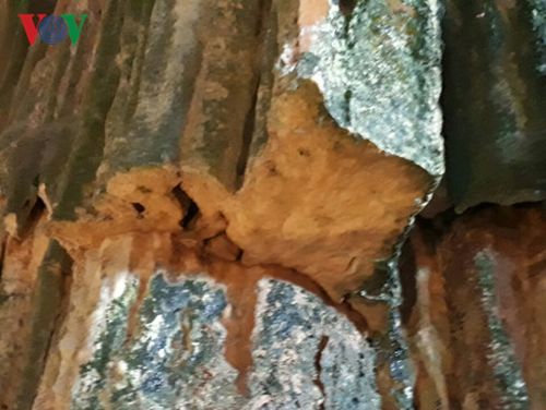 Những vết cắt còn rất mới, lộ rõ hoạt động lấy trộm nhũ đá ít nhiều vẫn còn tồn tại.