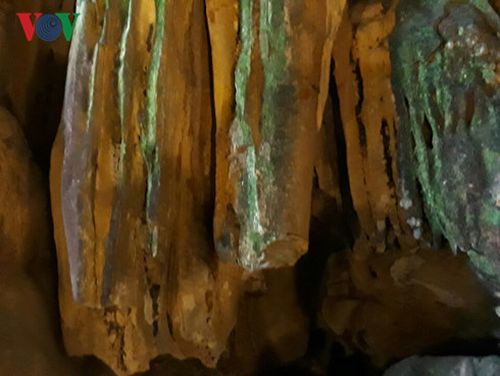 Những vết cắt đã cũ, không xác định được thời gian bị cưa cắt.