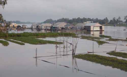 Làng bè trên ngã ba sông Châu Đốc, An Giang.