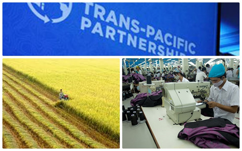 Việc tạm dừng TPP cho Việt Nam thêm thời gian cơ cấu lại và đi vào sản xuất lớn (Ảnh minh họa) 