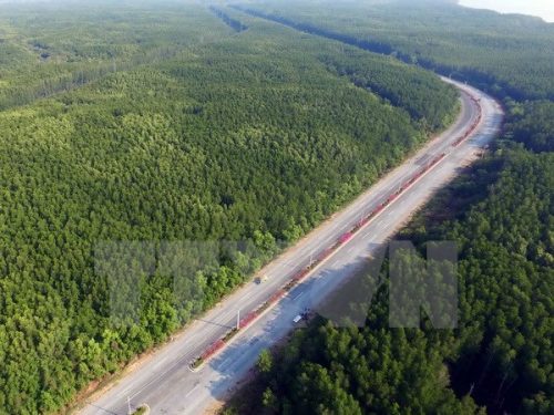 Những cánh rừng bạt ngạt xanh ngút tầm mắt dọc tuyến đường huyết mạch Rừng Sác-Cần Giờ (Ảnh: Mạnh Linh/TTXVN)