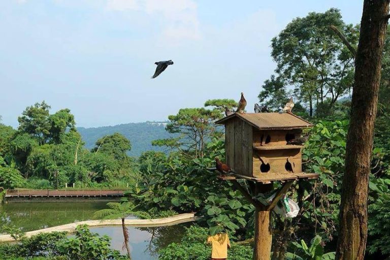 Ý kiến Bộ Xây dựng về “resort khủng” trong vườn quốc gia Ba Vì