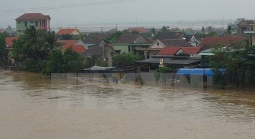 Ảnh minh họa: Đức Thọ/TTXVN