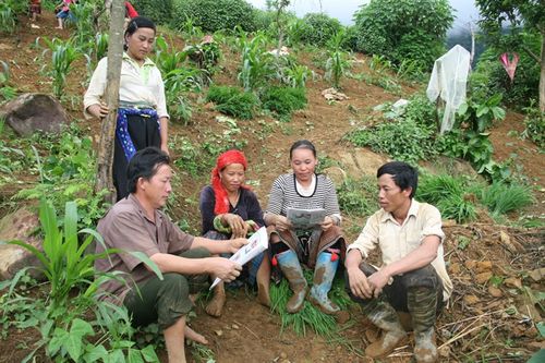 Người dân huyện Phong Thổ ý thức việc bảo vệ rừng là giữ cho cuộc sống của chính mình