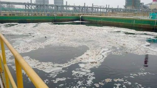 Cục trưởng Cục kiểm soát bảo vệ môi trường bị cách chức