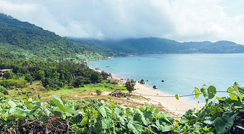 Vệt nước màu đỏ ở biển Đà Nẵng là ấu trùng ruốc