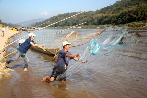Lào – Campuchia hợp tác bảo tồn cá trên sông Mê Kông