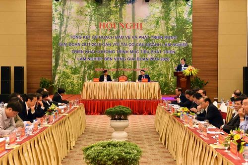 Phải bảo vệ rừng và bảo tồn thiên nhiên cho phát triển