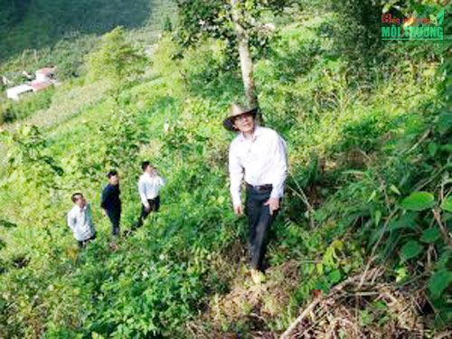 Nơi địa đầu Tổ quốc đi lên từ rừng – Kỳ 4