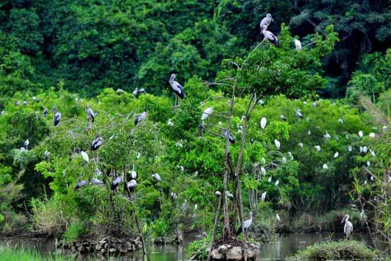 Tăng cường năng lực quản lý hệ thống khu bảo tồn