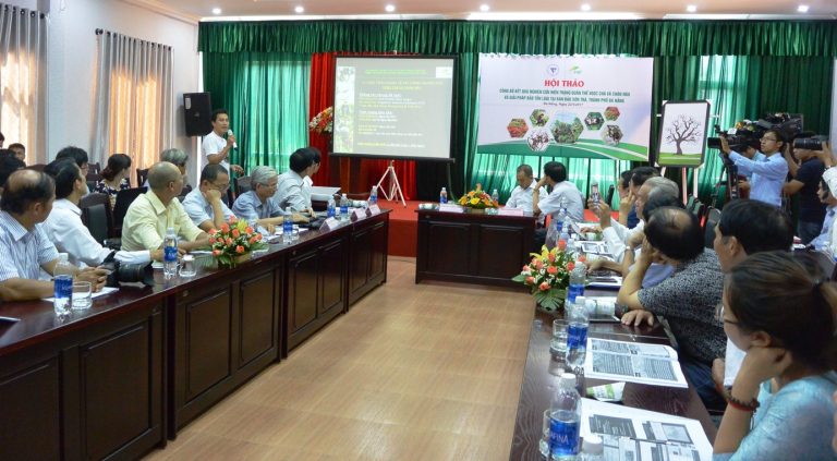 Hơn 1.300 cá thể Voọc chà vá chân nâu sinh sống tại Sơn Trà