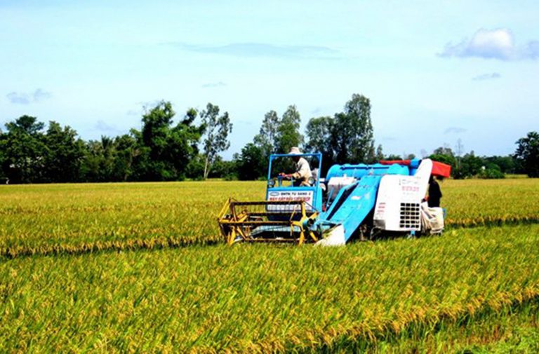 Nông nghiệp 4.0 tại một số nước đang phát triển ở châu Á?