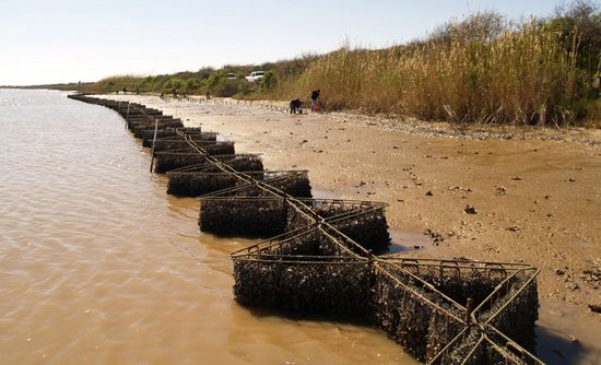 Giải pháp ứng phó sạt lở Đồng bằng sông Cửu Long