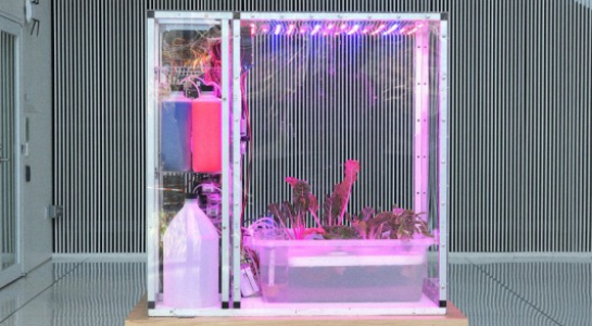 Dùng trí tuệ nhân tạo trong nhà kính kỹ thuật số