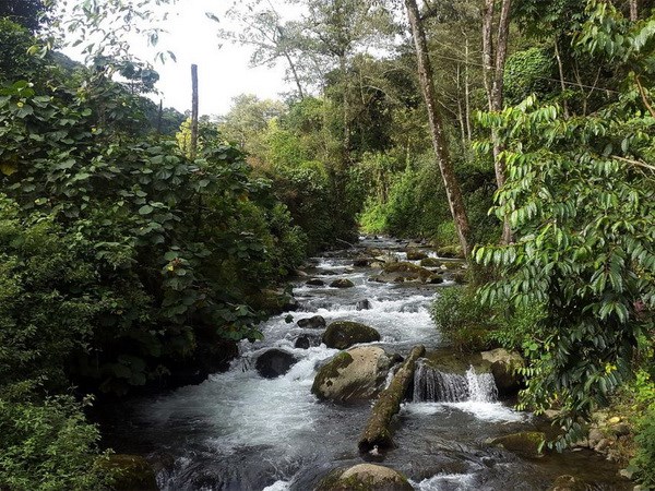 UNESCO công nhận khu dự trữ sinh quyển mới tại Costa Rica