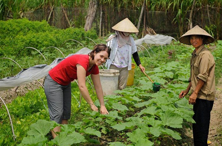 Khai thác tính bản địa bằng sức mạnh công nghệ