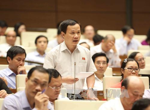 Dự thảo Luật Bảo vệ và phát triển rừng (sửa đổi): Vẫn chưa quy định rõ trách nhiệm bảo vệ rừng của các bên